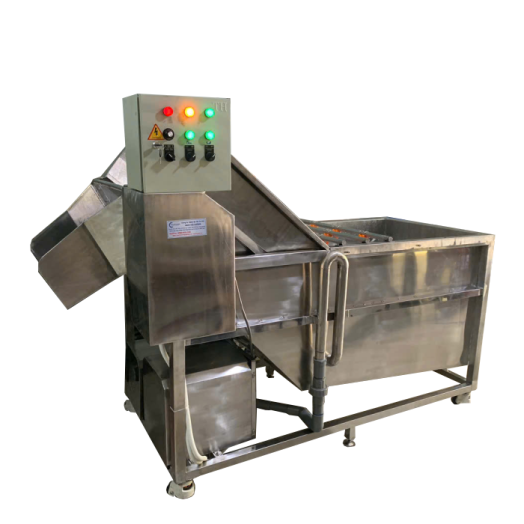 Máy rửa trái cây công nghiệp dạng băng chuyền